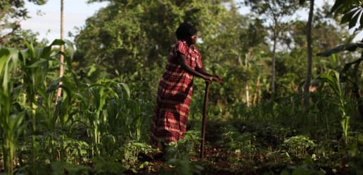 Opinion: The latest vital input for smallholder farmers in Africa? Data