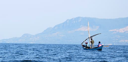 Education, improved technology and innovative financing solutions to increase resilience 