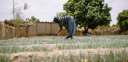 Land rights for women — on paper and in practice
