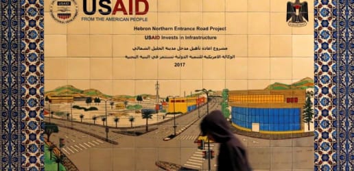 Opinion: Toward a more assertive and humble pro-democracy agenda