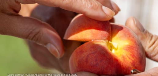 Opinion: Stories about food systems and why they matter 