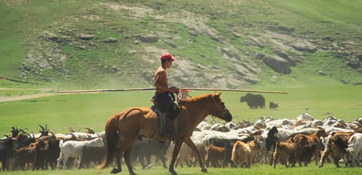 Mongolian nomads create shared funds and financial security