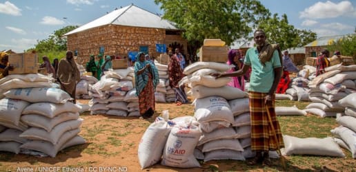 DevExplains: What are the largest organizations in aid?