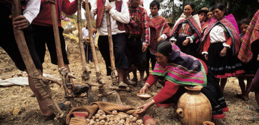 Filling the breadbasket: Latin America can help feed the world