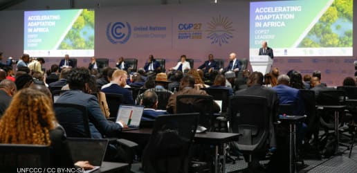 Opinion: Failing to act at COP 27 will weaken multilateralism