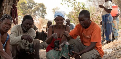 Early warning, early action: The innovations changing food crisis management