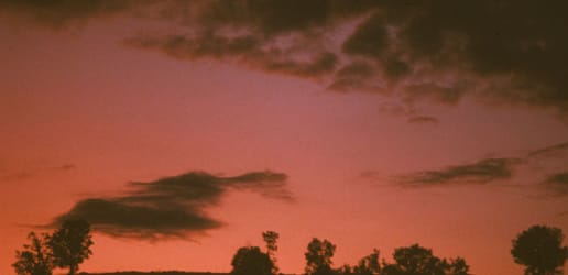 Life after aid work: Beating the addiction 