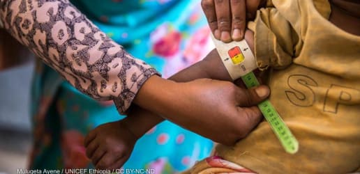 DevExplains: How is a famine declared?