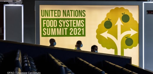 Opinion: Can good governance save the Food Systems Summit’s promises?