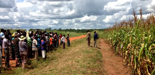 Improving the evidence base in the environment sector with RCTs