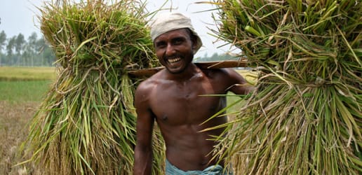 For ICN2 to succeed, we need a new food system paradigm 