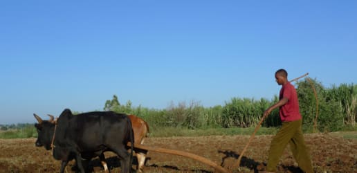 Ambitious SDGs are empty without bold action on land