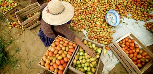 Let's change focus — the buyer-led approach to development