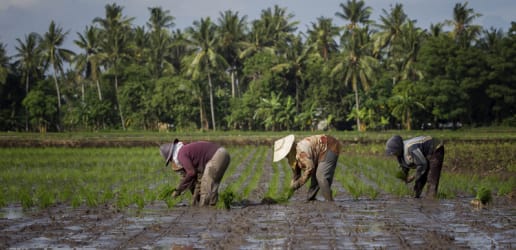 Opinion: Growing the next farming generation