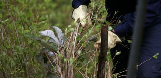 Opinion: 3 strategies to transform approaches to illicit drug economies