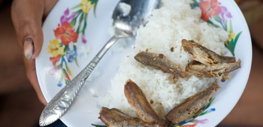 To tackle malnutrition, go fish