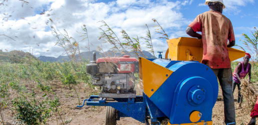 Opinion: Responding to crisis — growing Africa’s food systems