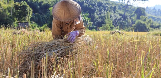 How climate change affects malnutrition