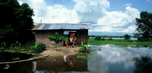 Opinion: Resilience — from buzzword to action