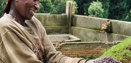 Better crops for better nutrition