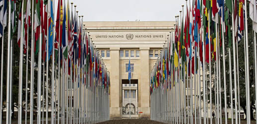 Top Geneva global development NGOs: A primer