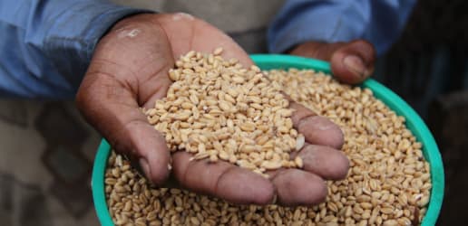 How science is moving farmers from poverty to prosperity