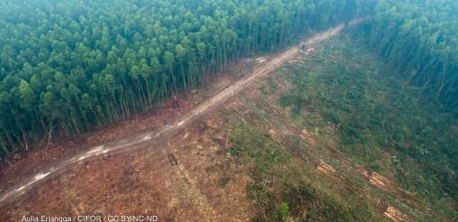 Opinion: How modern slavery threatens climate efforts