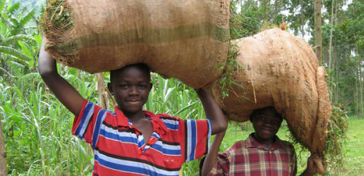 Food security for global security