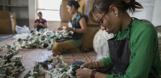 Opinion: Can women’s economic empowerment drive gender-based violence?