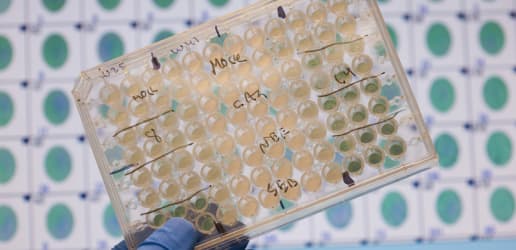 How innovative financing and partnerships are transforming the infectious disease product pipeline