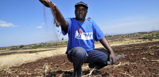  When in Paris, don't forget about food security
