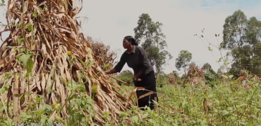 Opinion: All hands on deck to combat climate change