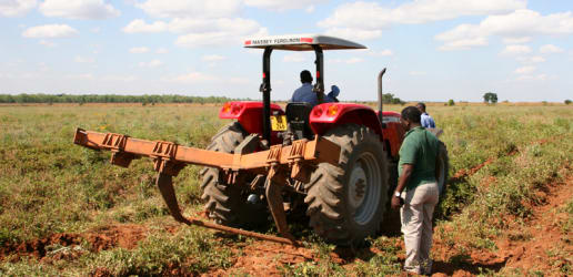 Linking smallholder and commercial farms: A strategy for tackling SDG 2