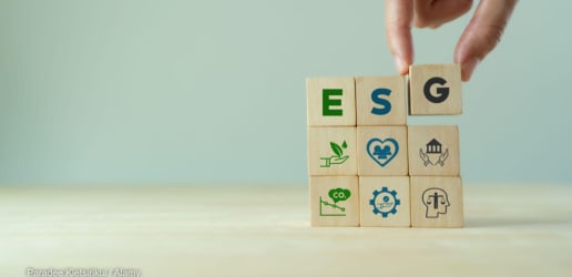 Opinion: The underexploited potential of the ESG framework