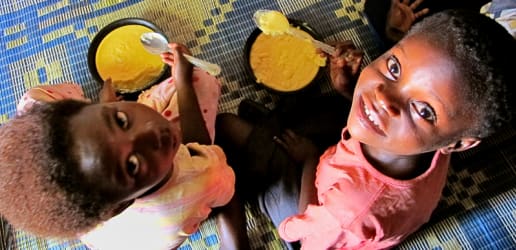 Envisioning a world with fewer vitamin A deficiencies