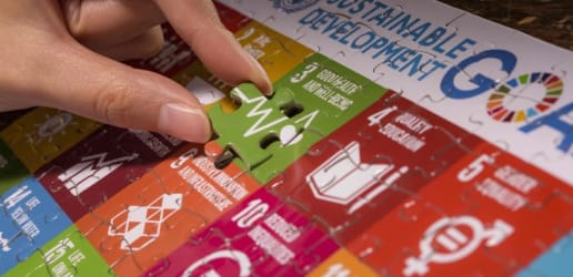 Opinion: This is an emergency. We need the backing of the public to demand action on the SDGs