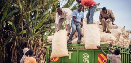 Opinion: How to address the impact of COVID-19 on global food systems