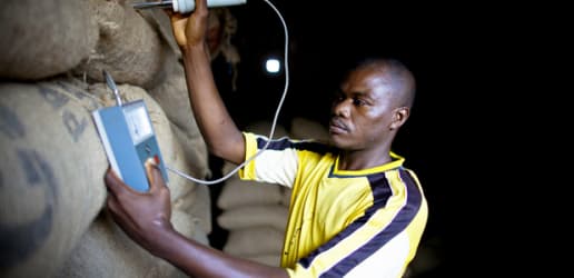 5 ways to deliver nutrition through cash crop standards