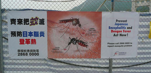 New Japanese encephalitis vaccine 'a historic moment for global health'
