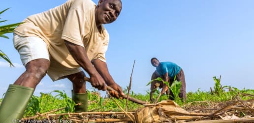 Opinion: We agree that our food systems must be overhauled – now what?