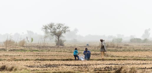 Opinion: A commitment to strengthening Niger's agriculture sector 