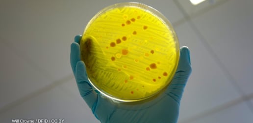 Opinion: Break down barriers to deal with drug resistance