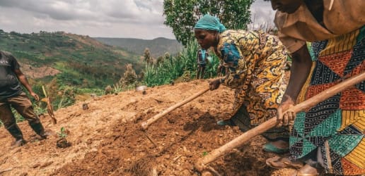 Opinion: Drive home a global green recovery in 2021 — no excuses