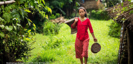 Opinion: Hurting or helping? Why we need gender and food systems research 