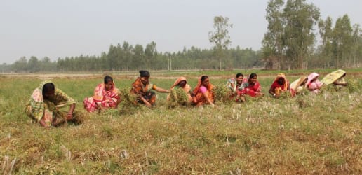 Can better data change the fate of India’s invisible female farmers?