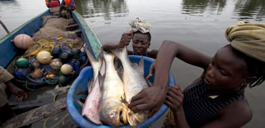 Making markets more inclusive: How enterprise can fight poverty