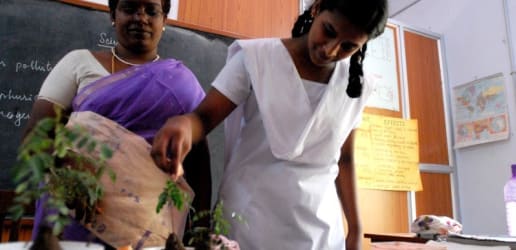 Opinion: Climate activists are natural education advocates — here's why