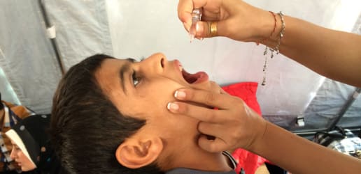 Humanitarian diplomacy offers the olive branch needed in today's violent world