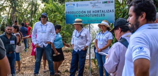 Get to know these 4 Latin American aid donors