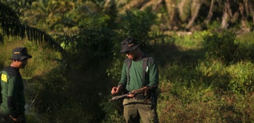 Interactive: The World Bank's contract awards for environmental work